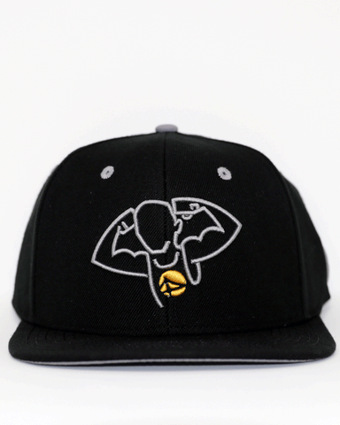 Flex Snapback Hat